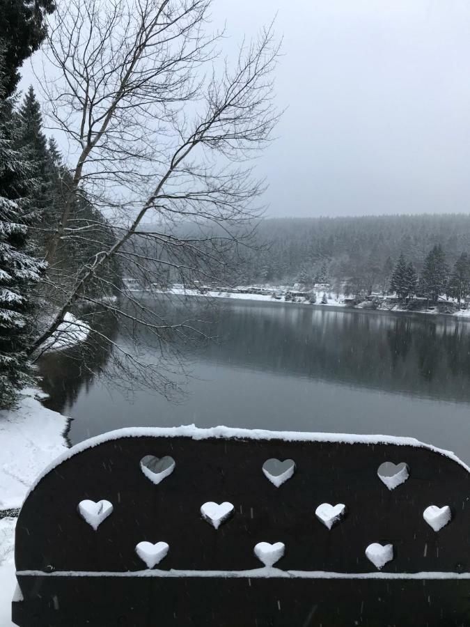 Hahnenklee Ferienpark 7-511 Goslar Buitenkant foto
