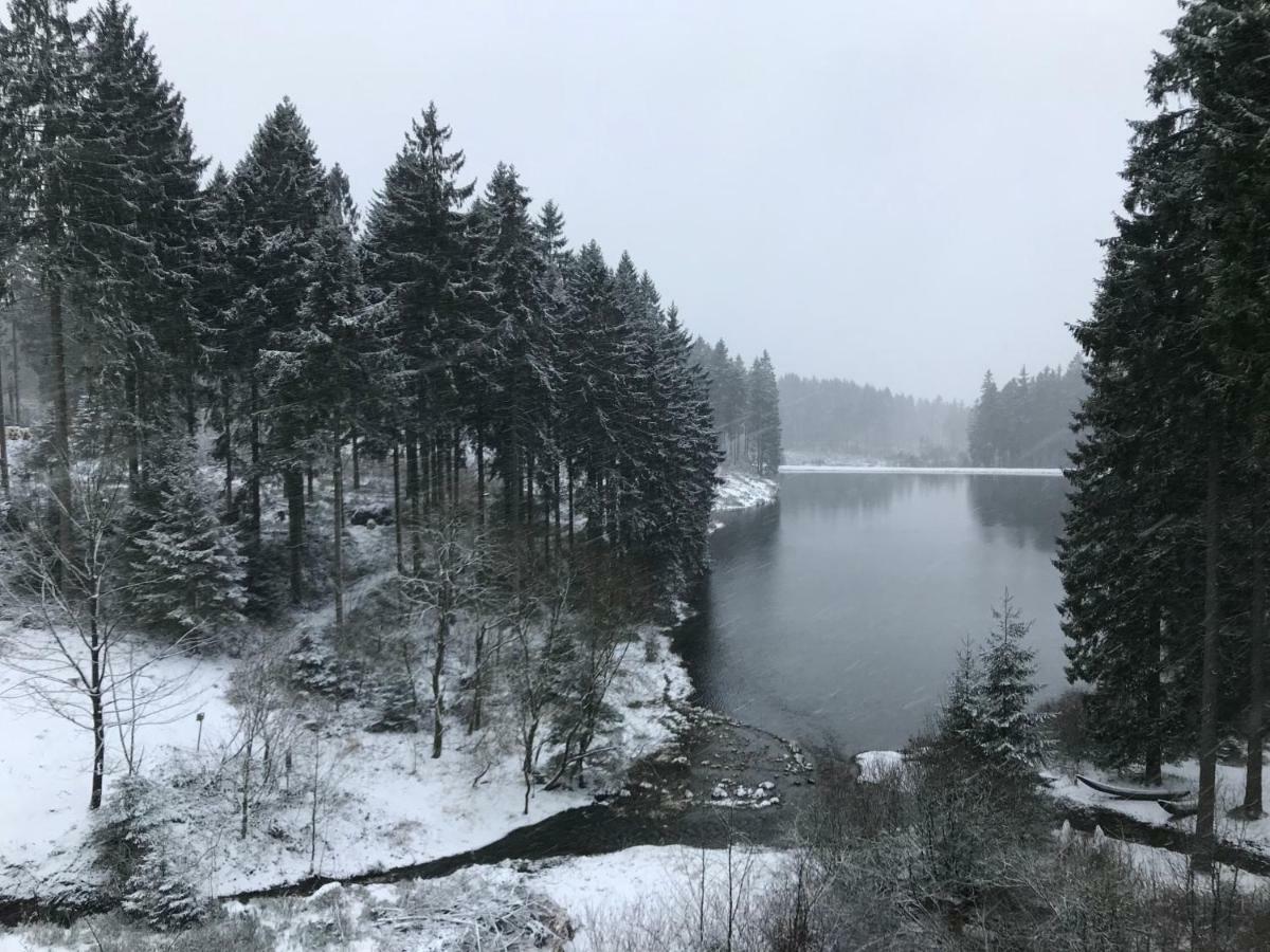 Hahnenklee Ferienpark 7-511 Goslar Buitenkant foto