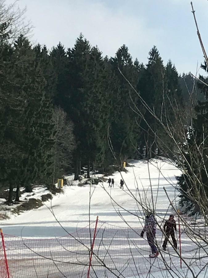 Hahnenklee Ferienpark 7-511 Goslar Buitenkant foto